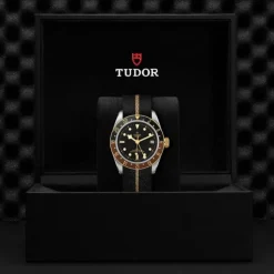 Black Bay GMT S&G 41 mm M79833MN-0004