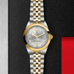 Black Bay S&G 39 mm M79663-0002