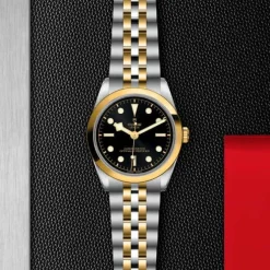 Black Bay S&G 36mm M79643-0001
