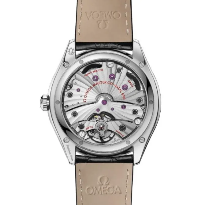 OMEGA De Ville Trésor Co-Axial Master Chronometer 40 mm Esfera Plata