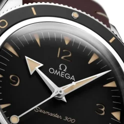 Omega Seamaster 300 Co-Axial Master Chronometer 234.32.41.21.01.001