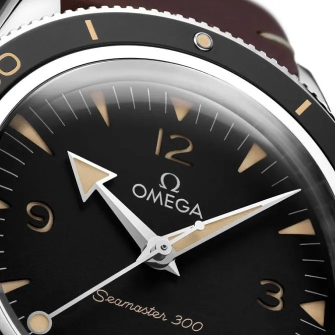 Omega Seamaster 300 Co-Axial Master Chronometer 234.32.41.21.01.001