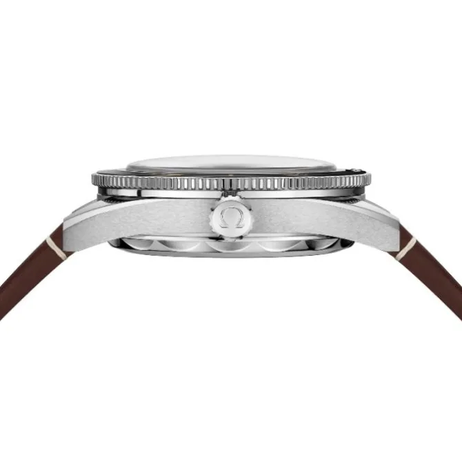 Omega Seamaster 300 Co-Axial Master Chronometer 234.32.41.21.01.001
