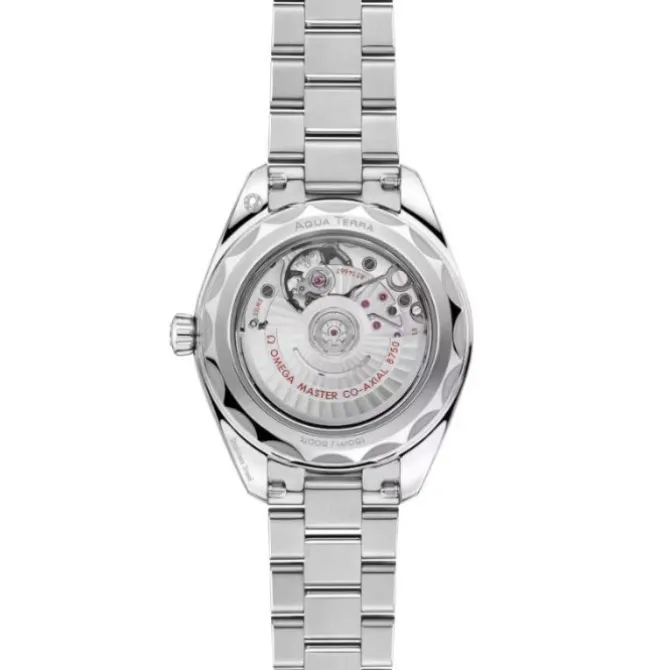 OMEGA Seamaster Aqua Terra 150M Plata 30mm