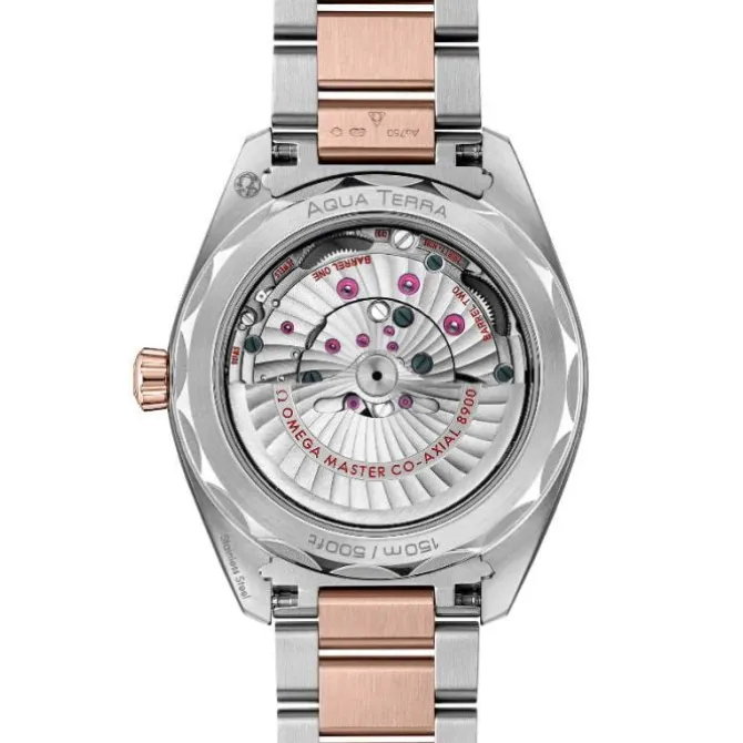 OMEGA Seamaster Aqua Terra 150M Master Chronometer 41 mm