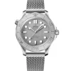Omega Seamaster Diver 300M Acero Bisel Titanio 42mm