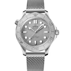 Omega Seamaster Diver 300M Acero Bisel Titanio 42mm