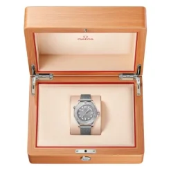 Omega Seamaster Diver 300M Acero Bisel Titanio 42mm
