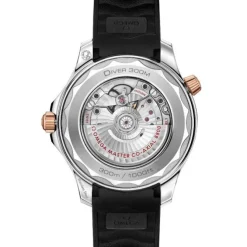 Omega Seamaster Diver 300M Co-Axial Master Cronometro 42mm 210.22.42.20.01.002