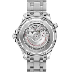 OMEGA Seamaster Diver 300M Co-Axial 42 mm Gris