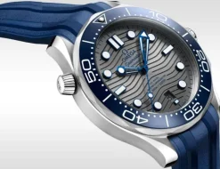 OMEGA Seamaster Diver 300M Co-Axial Master Cronometro 42mm 210.32.42.20.06.001