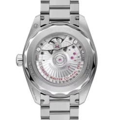 OMEGA Seamaster Railmaster Co-Axial Gris 38mm