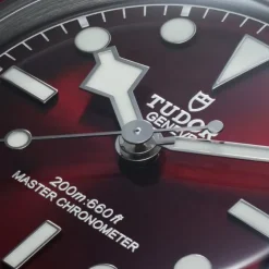 TUDOR Black Bay 58 Burdeos 3 Eslabones 39mm