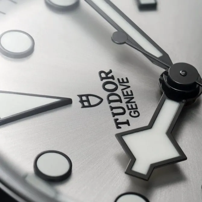 TUDOR Black Bay 68 Gris 43 mm