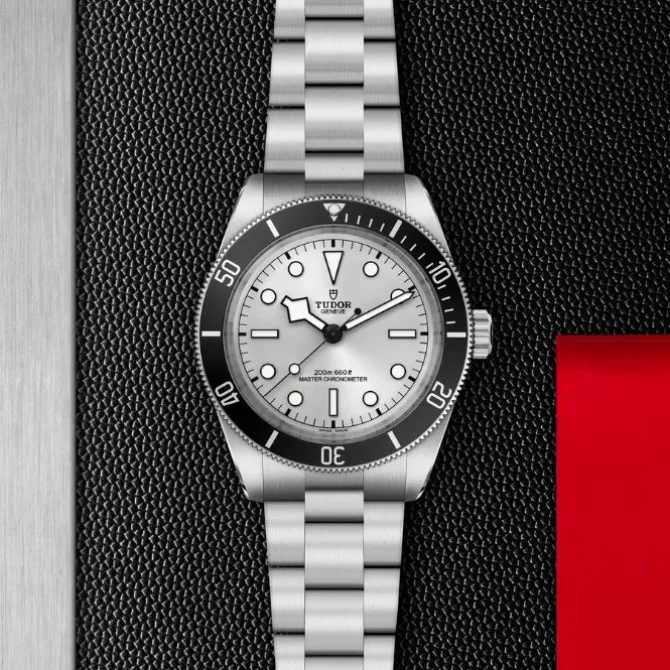 TUDOR Black Bay 68 Gris 43 mm