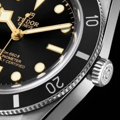TUDOR Black Bay 54 M79000N-0002