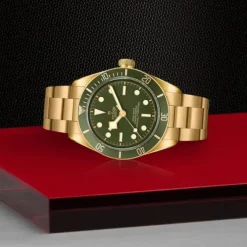 TUDOR Black Bay 58 Oro Amarillo 18K