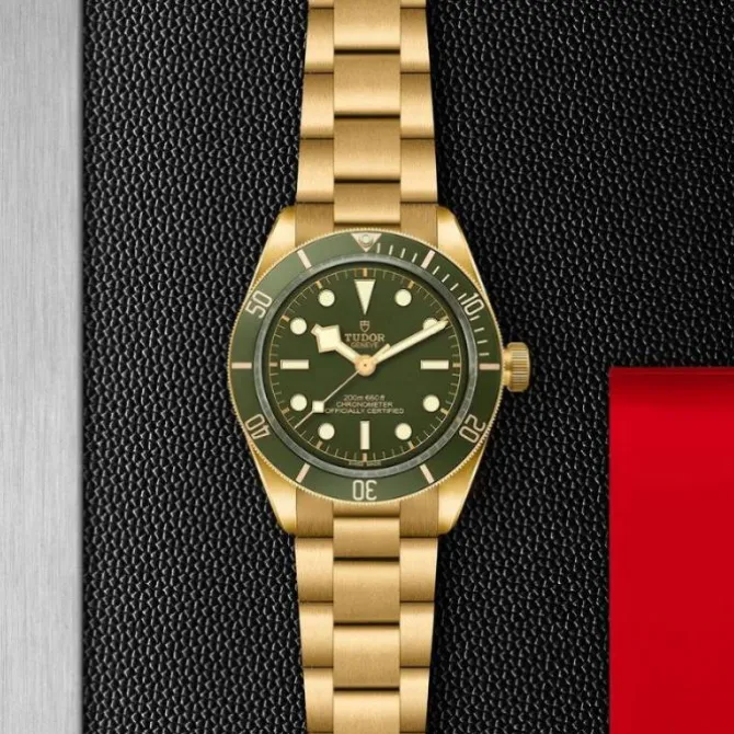 TUDOR Black Bay 58 Oro Amarillo 18K