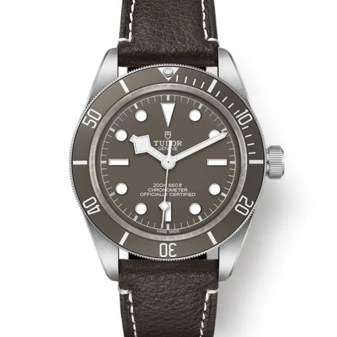 TUDOR Black Bay Fifty-Eight Plata 925 39 mm M79010SG-0001