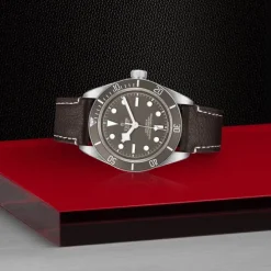 TUDOR Black Bay Fifty-Eight Plata 925 39 mm M79010SG-0001