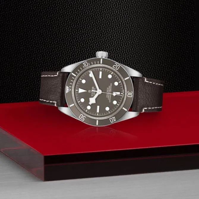 TUDOR Black Bay Fifty-Eight Plata 925 39 mm M79010SG-0001