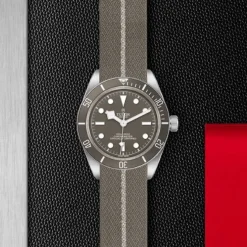 TUDOR Black Bay Fifty-Eight Plata 925 39 mm M79010SG-0002