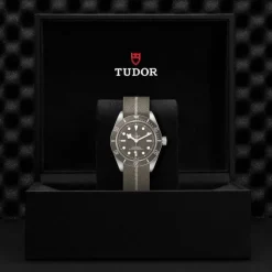 TUDOR Black Bay Fifty-Eight Plata 925 39 mm M79010SG-0002