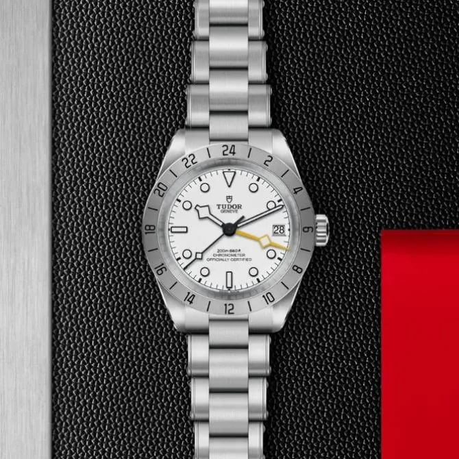TUDOR Black Bay Pro Blanco Acero 39 mm