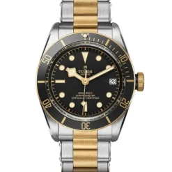 TUDOR Black Bay S&G 41mm M79733N-0008