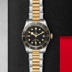 TUDOR Black Bay S&G 41mm M79733N-0008