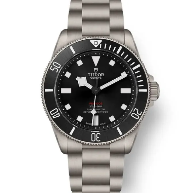 TUDOR Pelagos 39 mm Titanio