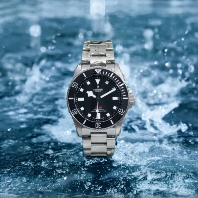 TUDOR Pelagos 39 mm Titanio