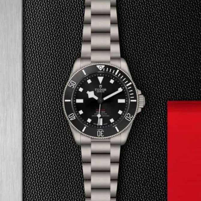 TUDOR Pelagos 39 mm Titanio