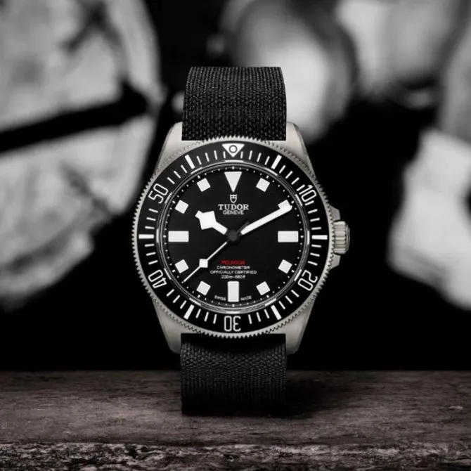 TUDOR Pelagos FXD Titanio 42 mm