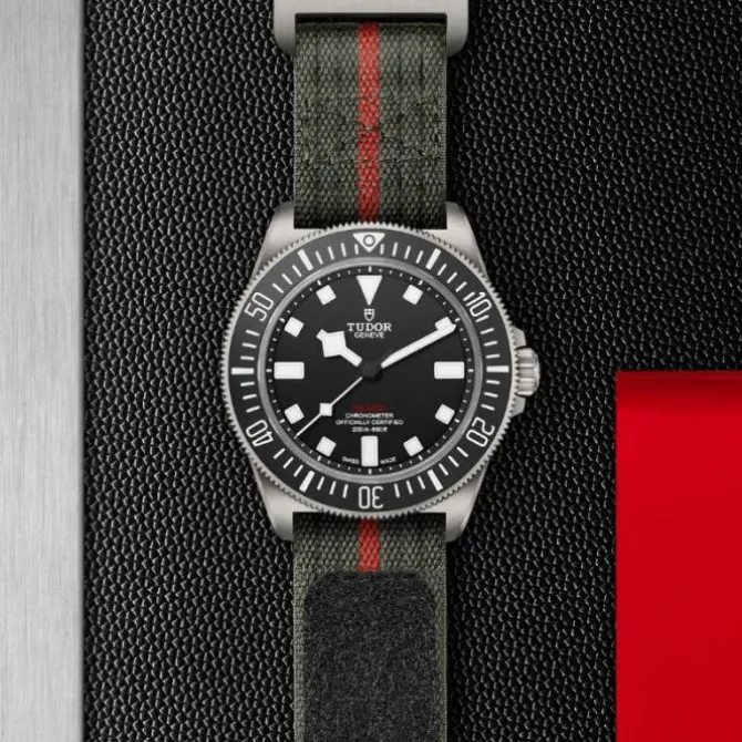 TUDOR Pelagos FXD Titanio 42 mm